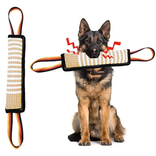 Puppy Teething Chew Toy