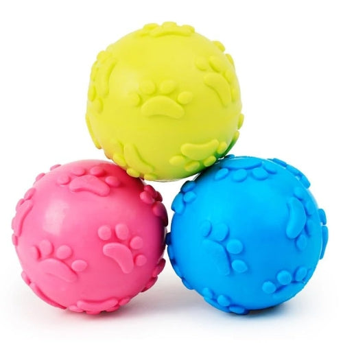 Fetch and Chew Dog Toy