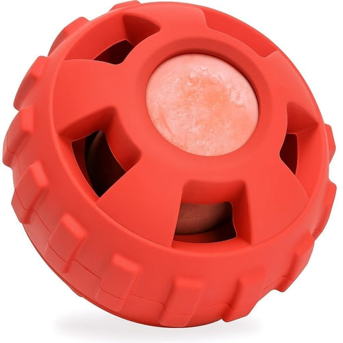 Fun Interactive Dog Toy